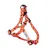 Harry Potter Gryffindor Harness - Size S: Chest Circumference 39 - 51 cm