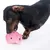 Chien noir et feu jouant avec un jouet en plastique rose en forme de boule, sur fond blanc. Aucun texte ou marque visible.
