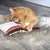 Chat roux couché sur un tapis en fourrure synthétique, la tête posée sur un coussin blanc décoré de tissu à carreaux rouges et bruns.