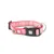 Max & Molly Collar Smart ID Matrix 2.0 rosa - L: contorno del cuello de 39-62 cm