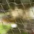 Katzenschutznetz mit Drahtverstärkung - 2 x 1,5 m