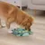 Chien marron utilisant un jeu d’intelligence vert en plastique posé au sol, avec plusieurs compartiments visibles pour friandises ou croquettes.