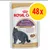 British Shorthair adult food, moderate energy, adapted texture, 48 pack. For cats over 12 months old. Feline breed nutrition.