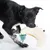 Black dog playing with a crescent-shaped plush toy with colourful ribbons and a turquoise tassel.