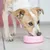 Dog playing with a pink toy ring on the floor. Product demonstrates interactive use for pets.