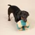 Hund spielt mit einem gelb-türkis gestreiften Plüschball. Produkt zeigt Nutzung eines Hundespielzeugs.