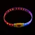 TIAKI LED-Halsband für langhaarige Hunde