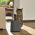 Rotho MyPet BIALA spade med holder