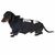 TIAKI Leuchtender Skelett-Hoodie für Hunde