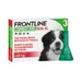 Frontline® Combo Spot-on chien - taille XL : 3 pipettes de 4,02 ml