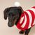 TIAKI Roter Streifen-Pullover für Hunde