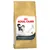 Saco de comida para gatos Royal Canin Norwegian Forest Cat Adult, con imagen de gato y texto visible en inglés sobre beneficios para piel, articulaciones y reducción de bolas de pelo.