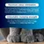 Ever Clean® Senior Cat Clumping Cat Litter - Scented - 10l Ever Clean® Senior Cat Clumping Cat Litter - Scented - 10l