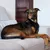 Virbac Veterinary HPM Adult Dog Large & Medium Crocchette per cane