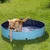 Perro de tamaño grande saliendo de una piscina plegable azul para mascotas en césped, con un juguete en la boca. Piscina circular de material plástico visible.