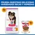Hill's Science Plan Light Adult 1-6 Small & Mini con pollo