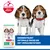 Hill's Science Plan Puppy <1 Medium met Kip