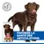 Hill's Science Plan Adult 1+ Healthy Mobility Large poulet