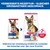 Hill's Science Plan Mature Adult 6+ Large mit Huhn