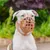 Hund mit braunem Maulkorb aus Kunststoff, geeignet für Sicherheit und Kontrolle. Hintergrund zeigt Gartenlandschaft.