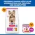 Hill's Science Plan Adult 1-6 Small & Mini mit Huhn