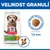 Hill's Science Plan Senior Vitality Mature Adult 7+ Small & Mini kuracie