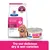 Hill's Prescription Diet Gastrointestinal Biome Mini - Chicken