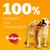100% komplett und ausgewogen. Pedigree Logo mit zwei spielenden Welpen vor orangefarbenem Hintergrund.