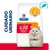 Hill's Prescription Diet c/d Multicare Stress Urinary Care pescado de mar