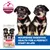 Hill's Science Plan Perfect Digestion Puppy <1 Medium csirke & barna rizs