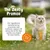 Zesty Paws Cat Urinary Care Paste - 75g Zesty Paws Cat Urinary Care Paste - 75g
