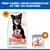 Hill's Science Plan Perfect Digestion Adult 1+ Small & Mini med kylling