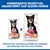 Hill's Science Plan Perfect Digestion Adult 1+ Small & Mini mit Huhn & braunem Reis