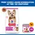 Hill's Science Plan Adult 1-6 Small & Mini med lam & ris