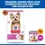 Hill's Science Plan Adult 1-6 Small & Mini mit Lamm & Reis