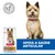 Hill's Science Plan Healthy Mobility Adult 1+ Small & Mini com frango