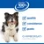 Hill's Science Plan Mature Small & Mini Mousse umido per cane