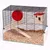 Hamster cage with glass base, wooden ramp, red exercise wheel and house with red roof. Metal mesh walls.