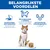 Belangrijkste voordelen: hoogwaardige, licht verteerbare ingrediënten, L-carnitine ter ondersteuning van de activiteit, gecontroleerde mineralen voor gezonde urinewegen. Kat en mousse afgebeeld. Belangrijkste voordelen: hoogwaardige, licht verteerbare ingrediënten, L-carnitine ter ondersteuning van de activiteit, gecontroleerde mineralen voor gezonde urinewegen. Kat en mousse afgebeeld.