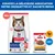 Hill's Science Plan Mature Adult 7+ saumon Hill's Science Plan Mature Adult 7+ saumon
