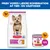 Hill's Science Plan Adult 1-6 Small & Mini med kylling