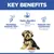 Hill's Science Plan Sensitive Stomach & Skin Adult 1+ Small & Mini Chicken