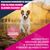 Eukanuba Premium Nutrition Senior Small Breed Huhn