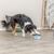 Jeu de stratégie Trixie Dog Activity Buzzer pour chien
