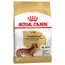 Royal Canin Dachshund Adult - 2 x 1,5 kg