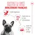 Royal Canin Bouledogue français Mousse