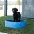 Kerbl Pet bazen za pse Bubble