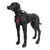 Rukka Geschirr Solid, fuchsia