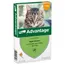 Advantage® 40 voor Katten tot 4 kg - Dubbelpak: 2 x 4 pipetten - NL