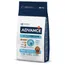 Lot Affinity Advance Medium pour chien - Medium Puppy Protect (2 x 12 kg)